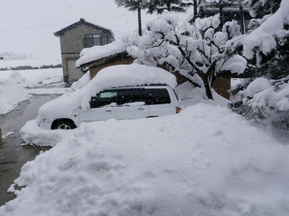 20110128_01_積雪.jpg