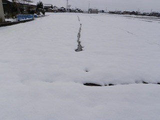 20110305_02_雪解け.jpg