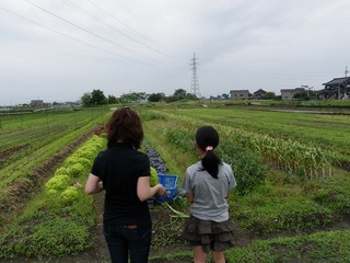 20110621_01_見学者.jpg