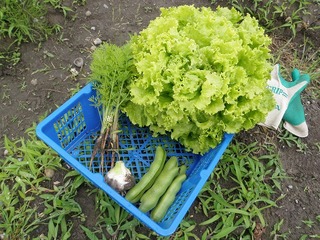 20110621_02_見学者.jpg