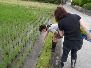 20110621_03_見学者.jpg