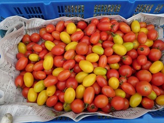 20111027_02_取材.jpg