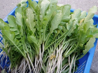 20111027_05_取材.jpg