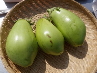 20111027_10_取材.jpg