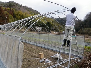 20100211_02_ビニルハウス建設.jpg