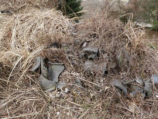 20100217_4_開墾.jpg