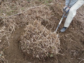 20100217_6_開墾.jpg