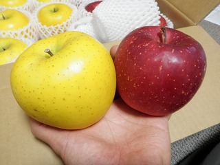 20100222_4_岩手りんご.jpg