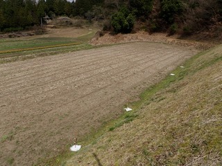 20100329_01_圃場.jpg