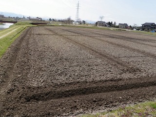20100430_09_トラクター.jpg