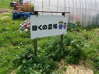 20100617_01_ぼくの農場.jpg