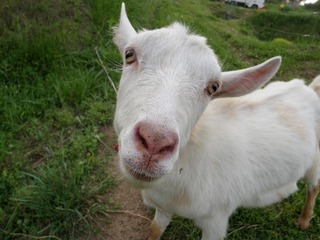 20100617_02_ぼくの農場.jpg