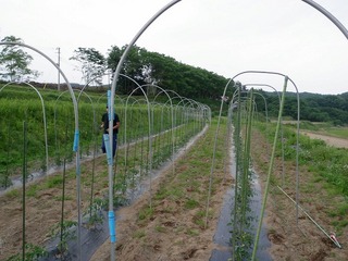 20100617_05_ぼくの農場.jpg