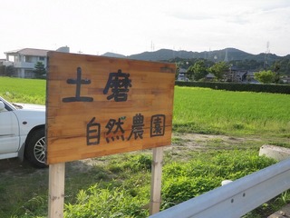 20100703_01_土磨自然農園.jpg