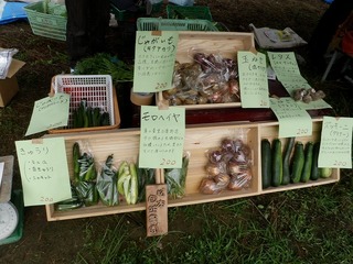 20100712_02_朝市.jpg