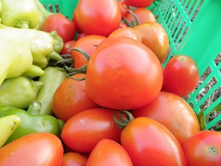 20100806_03野菜セット.jpg
