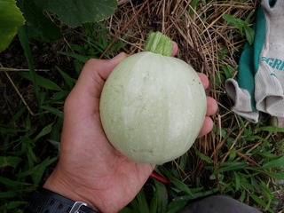 20110711_03_テレビ取材.jpg
