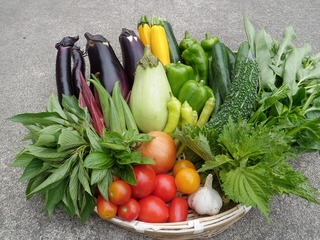 20110821_見学者02.jpg