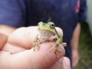 20110821_見学者04.jpg
