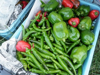 20110922_03_野菜セット.jpg