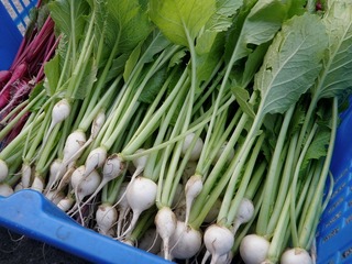 20111027_03_取材.jpg