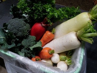 20101123_02_野菜セット.jpg